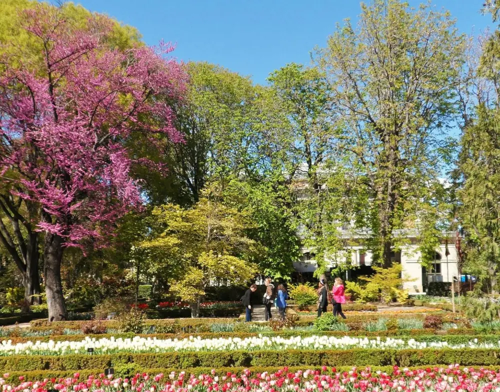 Spring (March, April, May) — the best time to visit Madrid